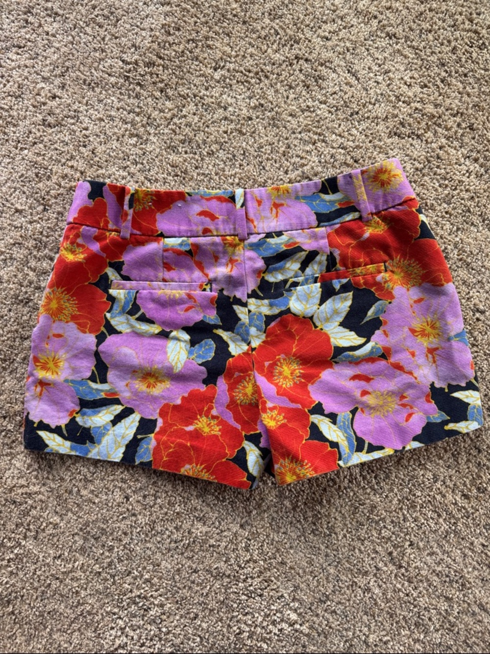 Loft The Riviera Short Poppies Print - Picture 5 of 9